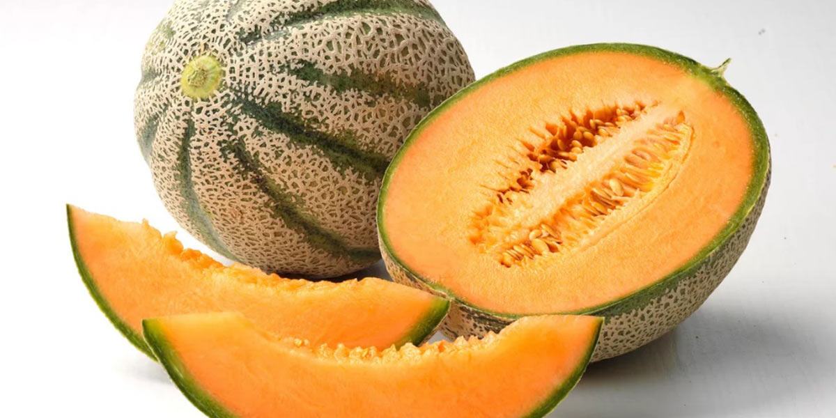 Meloni: campagna in anticipo in Sicilia e superfici stabili a livello nazionale